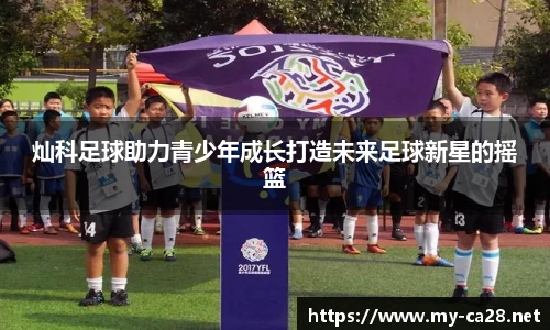 加拿大28
